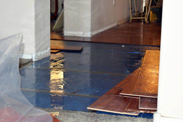 Professional Basement Flood Cleanup technician working in Morral, OH